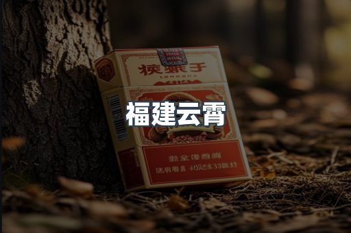 福建云霄